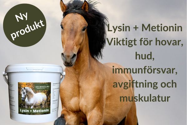 Lysin + Metionin