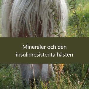 Mineraler och den insulinresistenta hästen