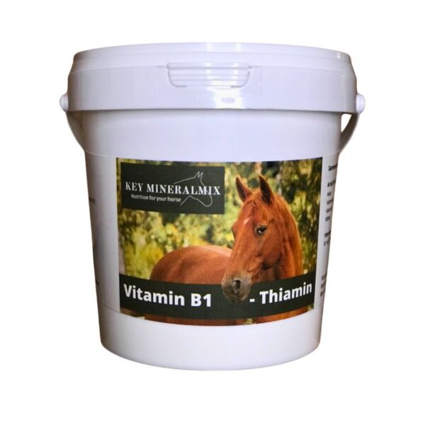 Vitamin B1. thiamin