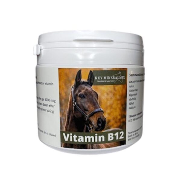 B12 för häst