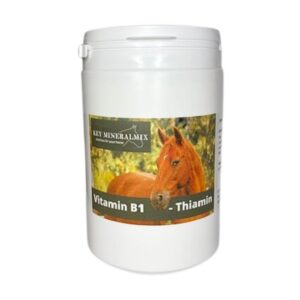 Thiamin för häst