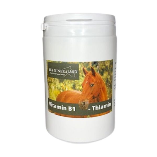 Thiamin för häst